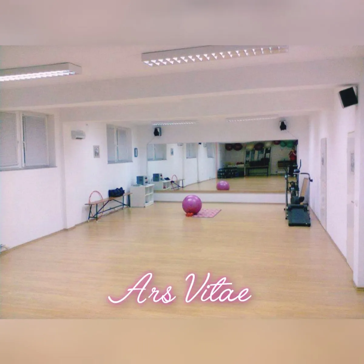 ARS VITAE
