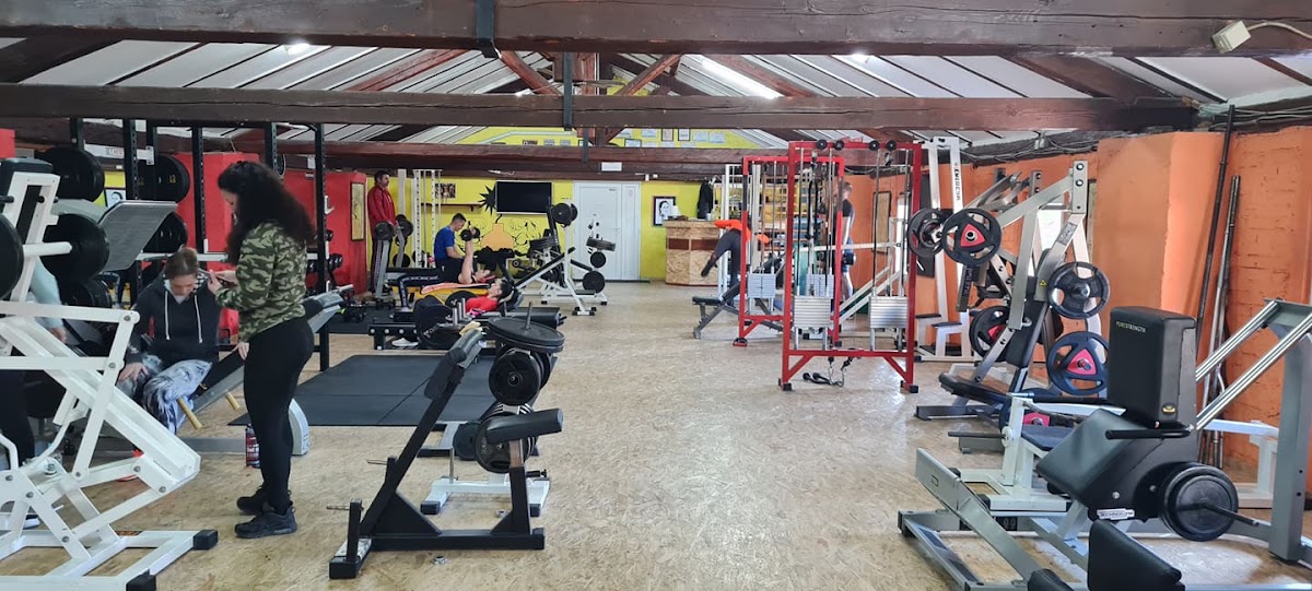 Bodybuilding klub Mornar