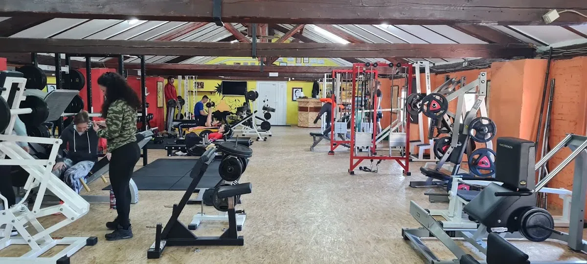 Bodybuilding klub Mornar