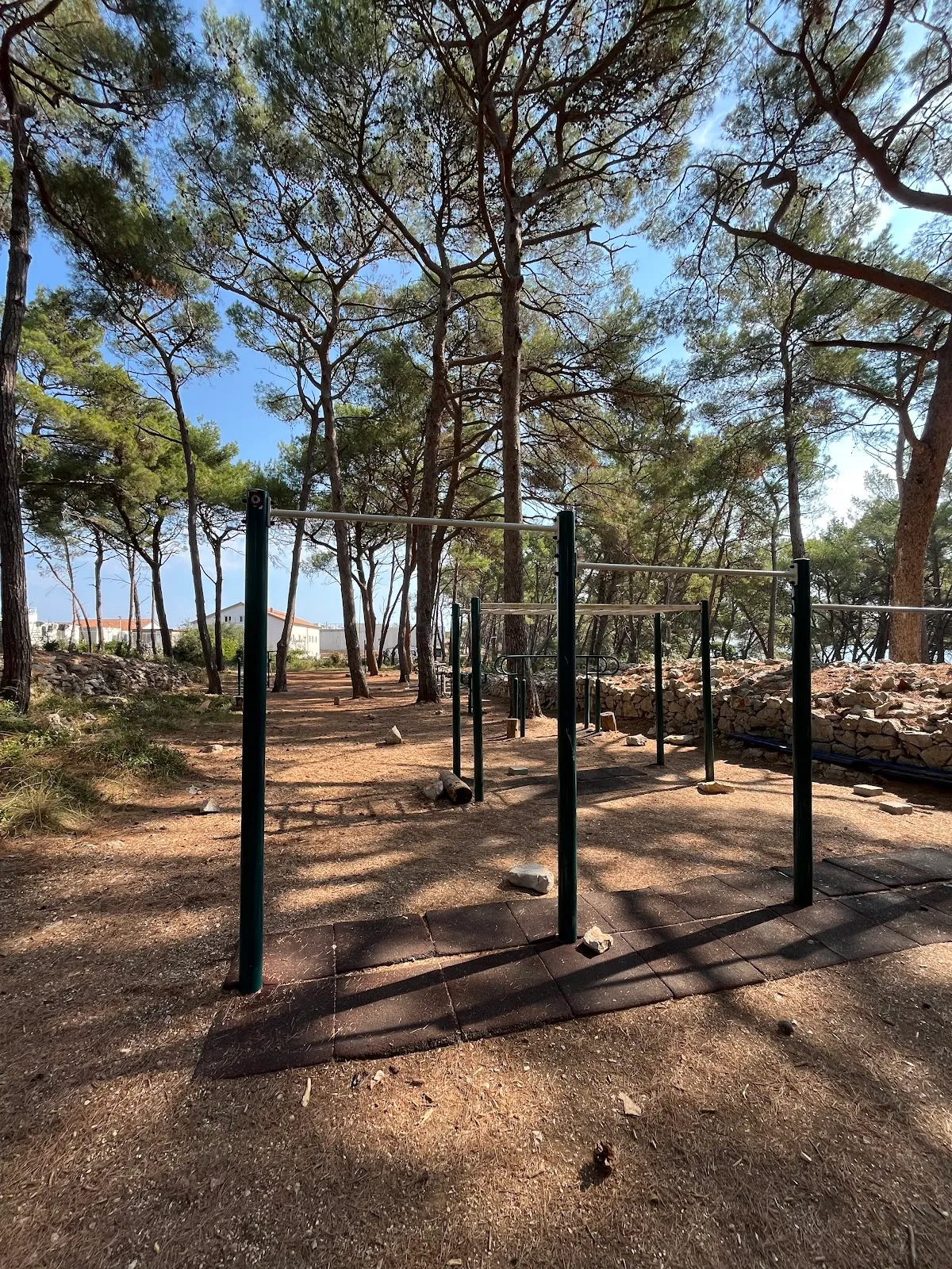 Calisthenics/Street Workout Park