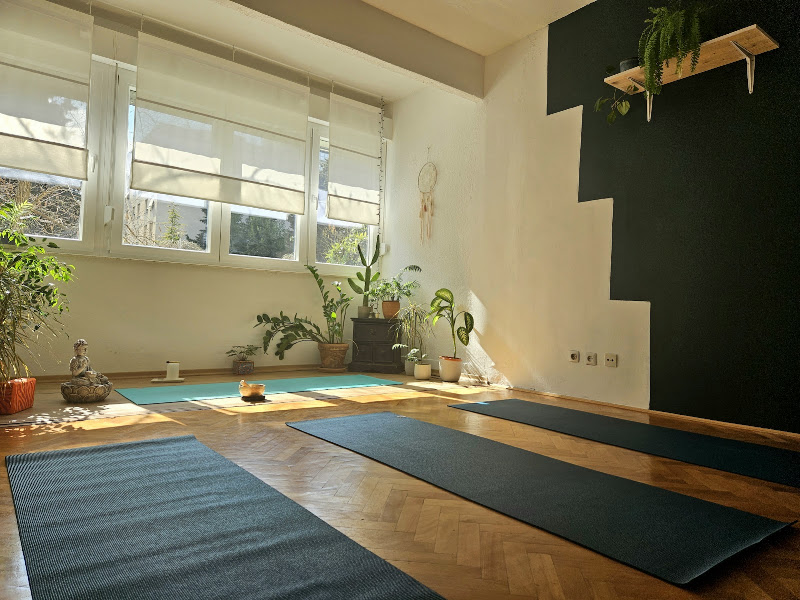 Divine Hatha Yoga Split — photo 3