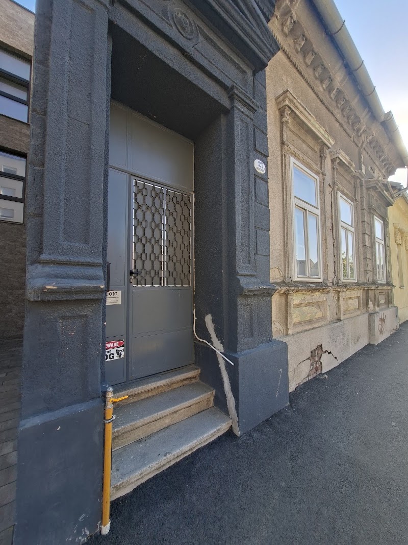 Dojo — photo 3