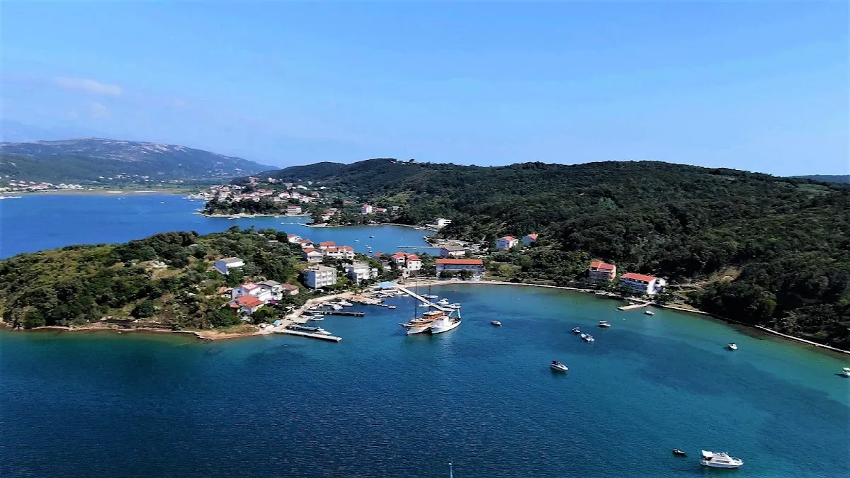 Dumići