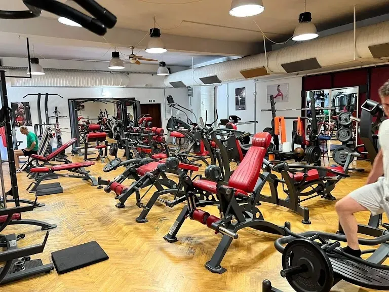 FITNESS CLUB - UMAG GYM