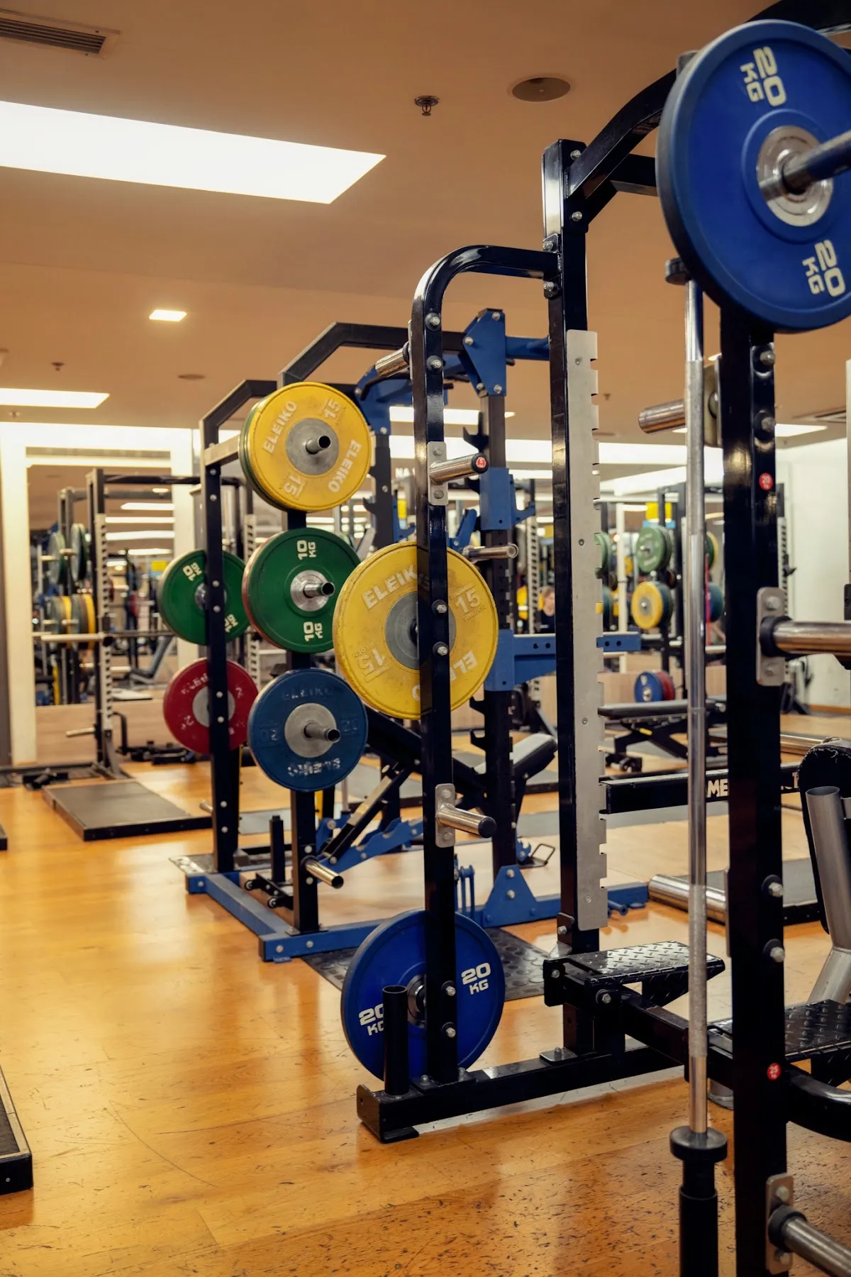 Fitness Joker- Guliver