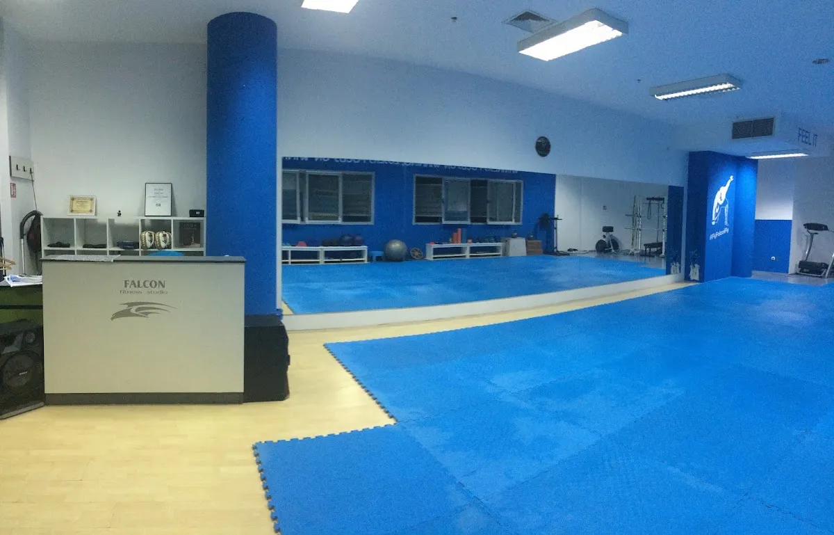 Fitness Studio Falcon