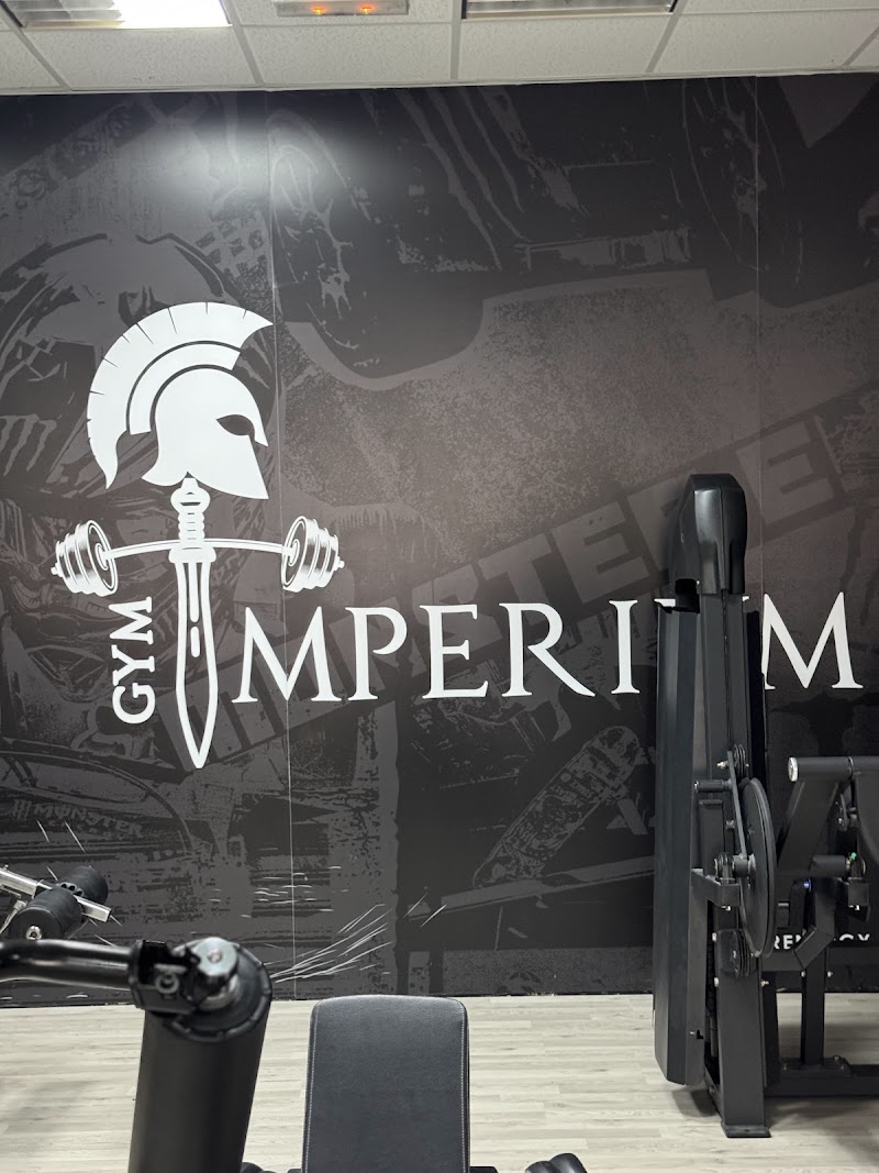 IMPERIUM GYM — photo 3