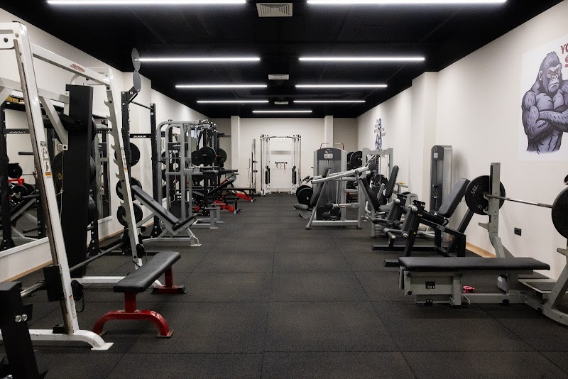 KK Fitness — photo 2