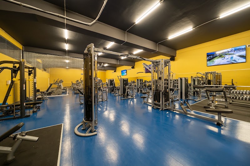 La Palestra — photo 2