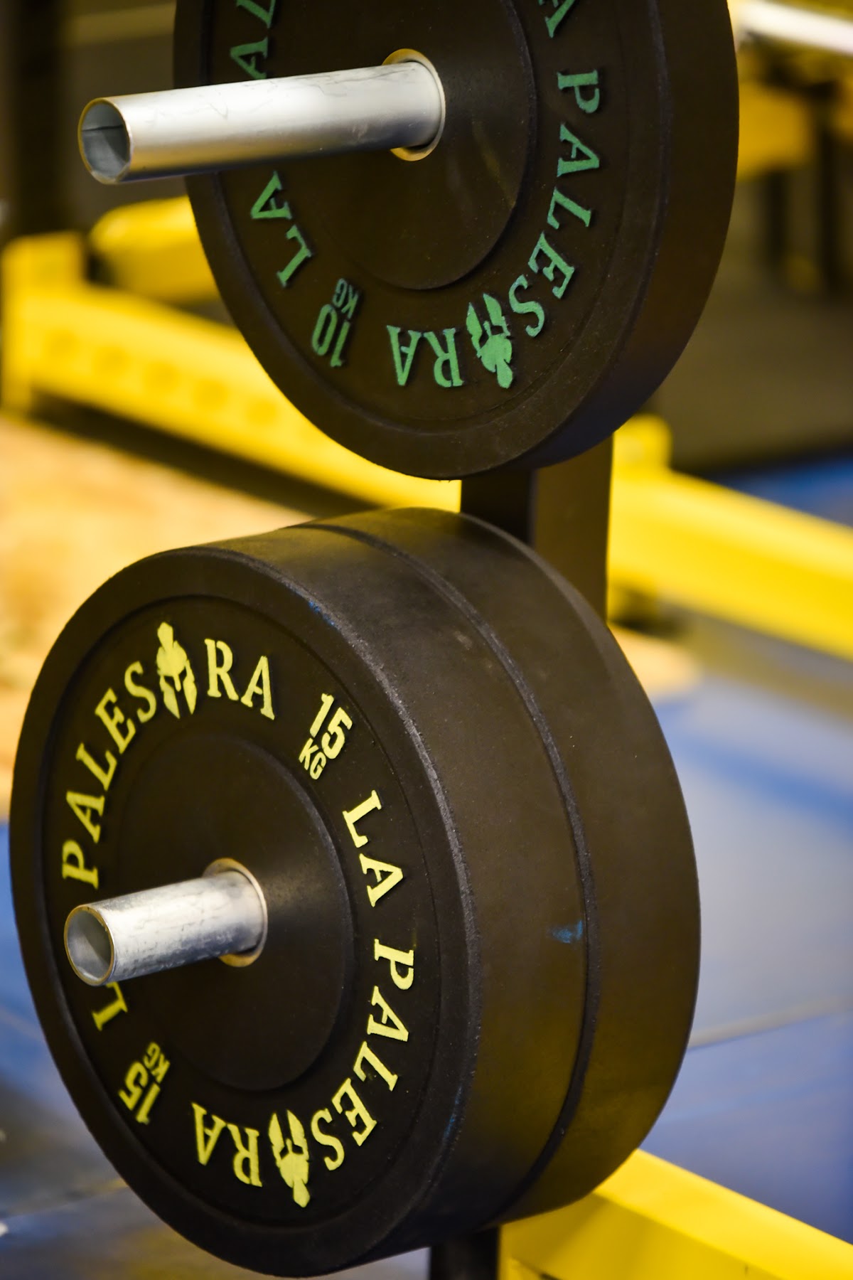 La Palestra