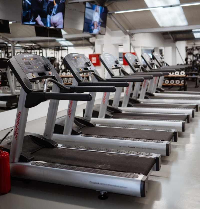 Legacy Gym & Lifestyle — photo 3