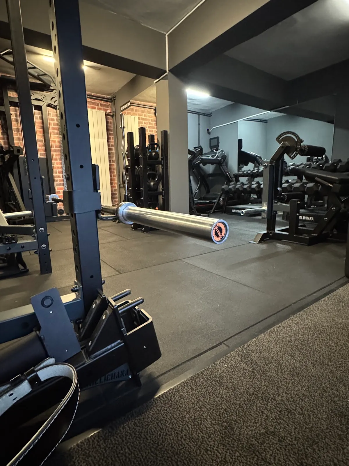 Lion Gym