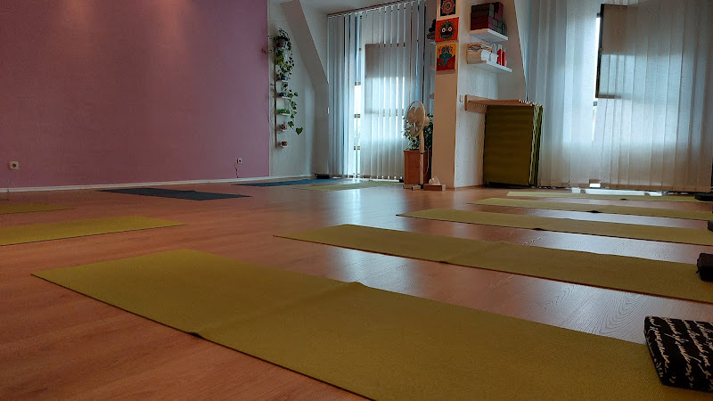 Padma Yoga Studio — photo 3