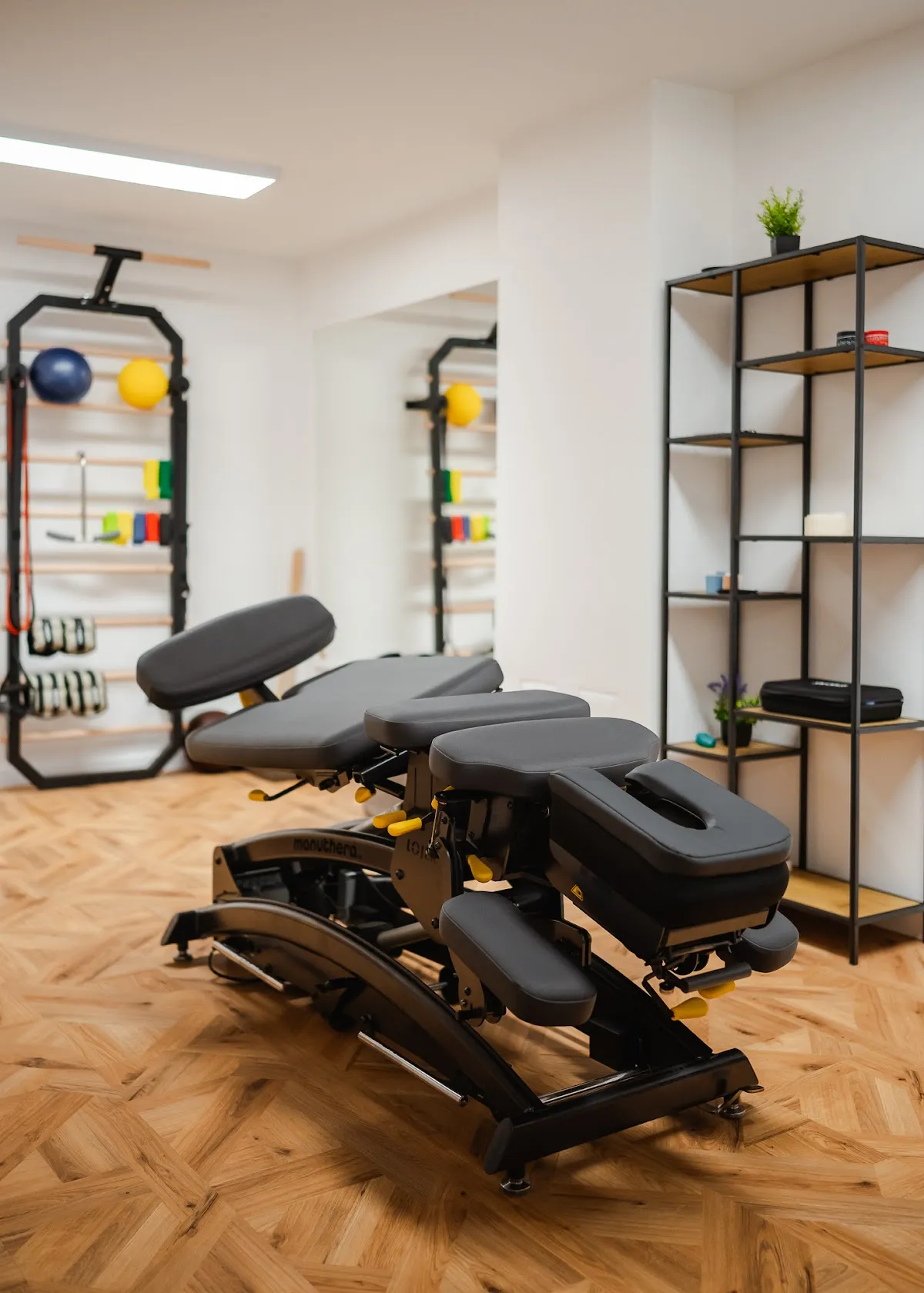 Physio Manualis