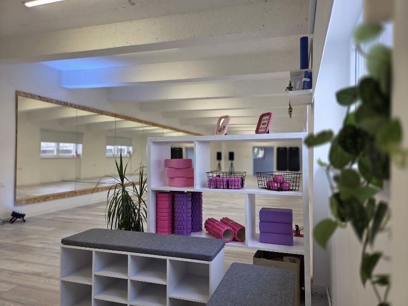 Plesni Fitness studio Šinjorina — photo 2