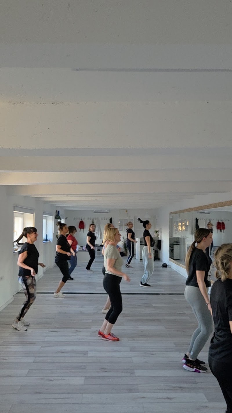 Plesni Fitness studio Šinjorina — photo 3