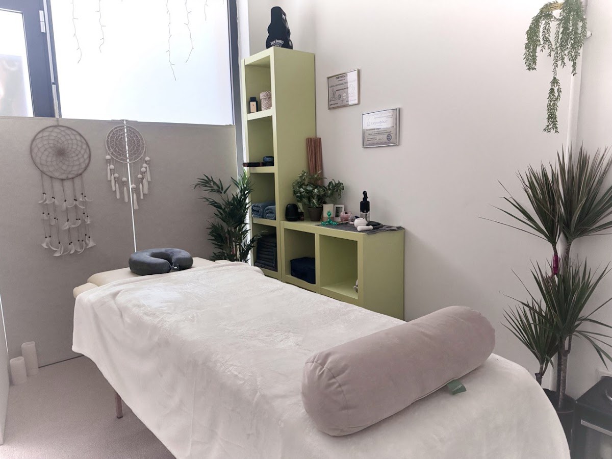 PROFESSIONAL ART OF MASSAGE