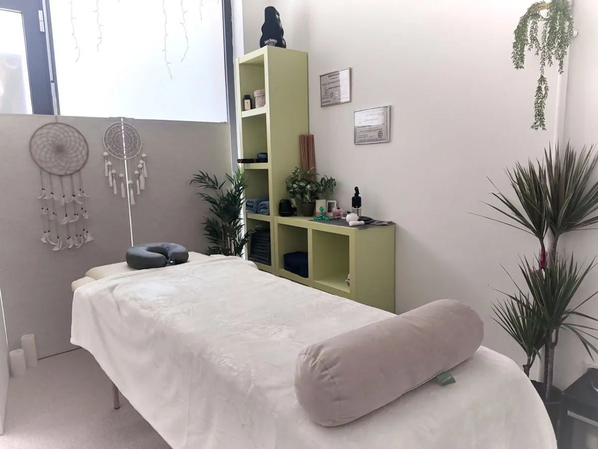 PROFESSIONAL ART OF MASSAGE