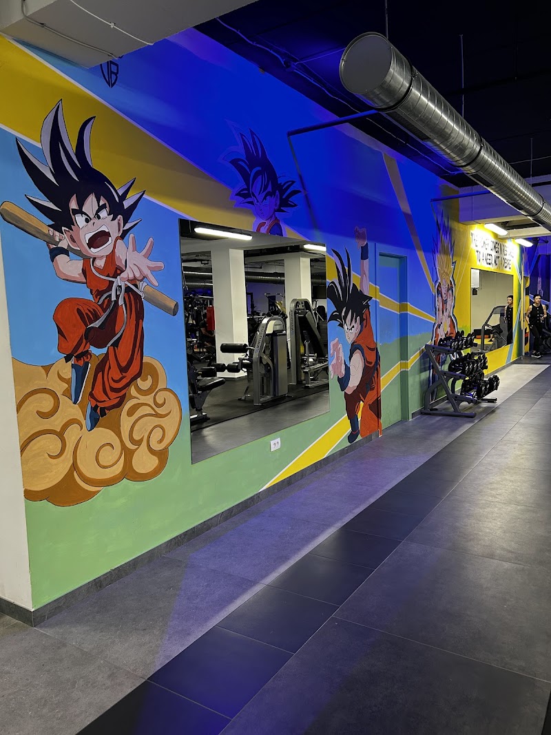 saiyan gym FITT — photo 2