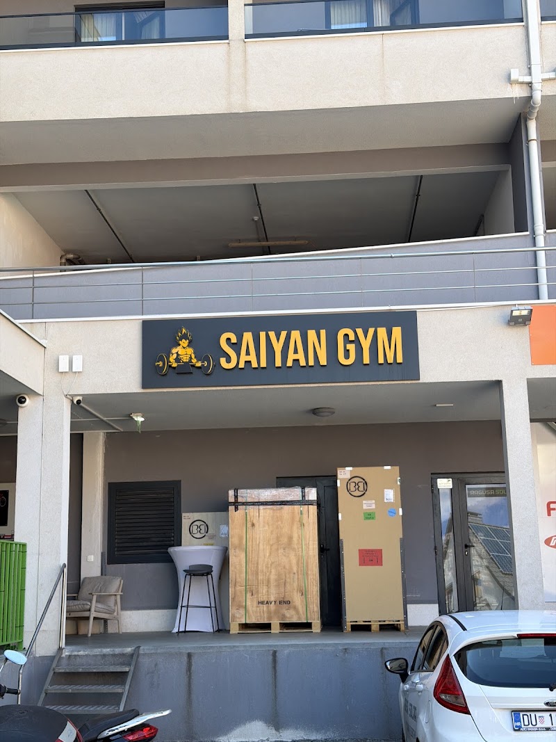saiyan gym FITT — photo 3