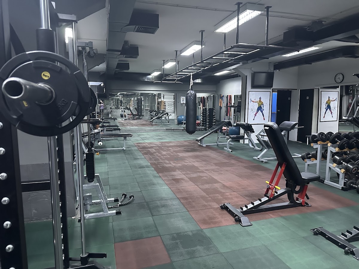 Spartan Gym Split