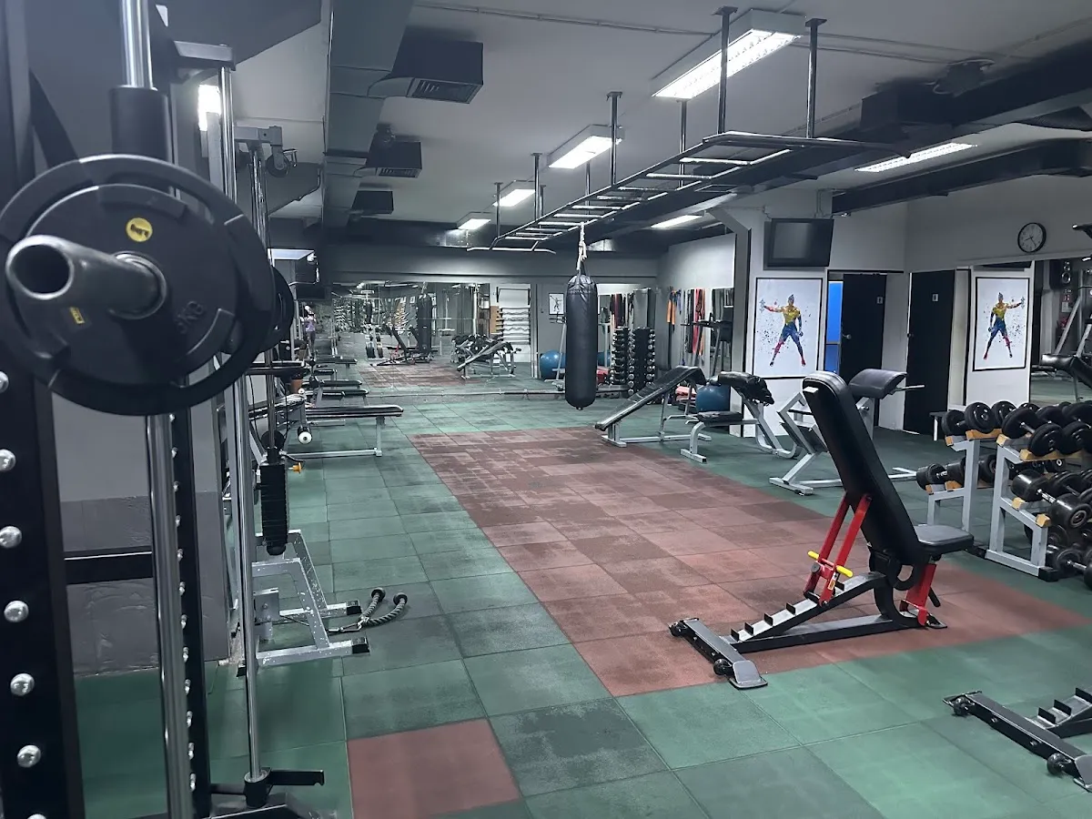 Spartan Gym Split