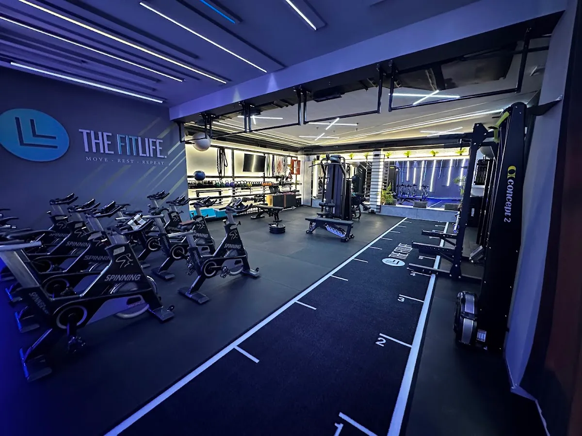 THE FITLIFE.