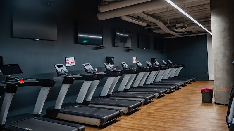 THE Fitness Branimir — photo 3