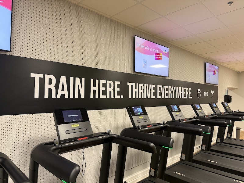 THE Fitness Dubrava — photo 3