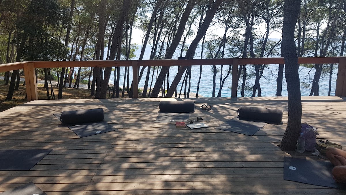 The Zen Den