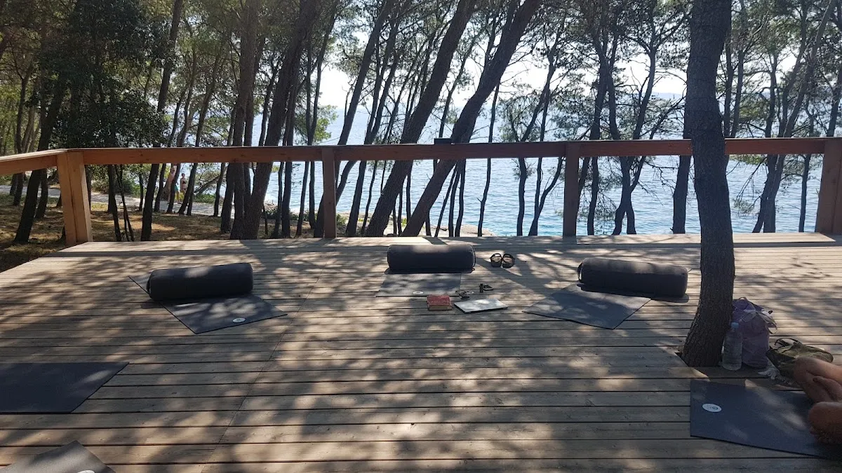 The Zen Den
