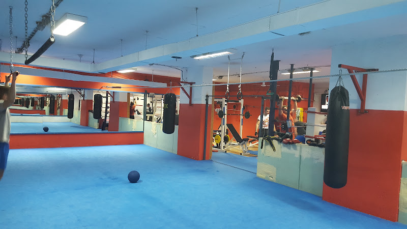 Thunderman Gym — photo 3