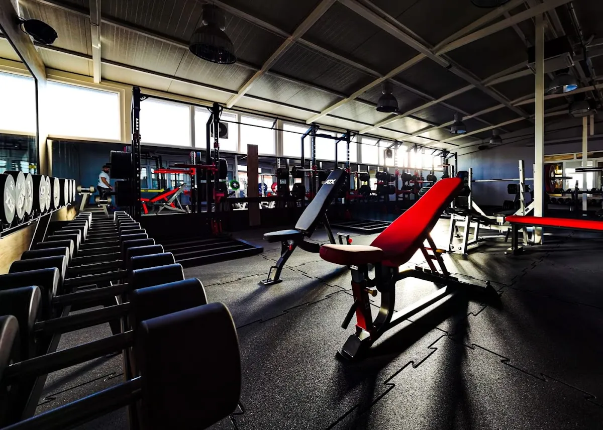 VS FITNESS FACTORY