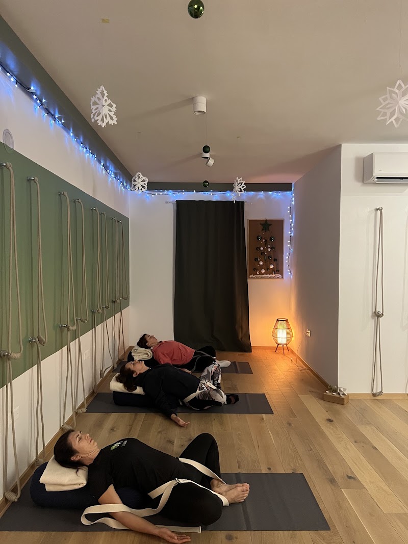 Yoga tree studio — photo 2