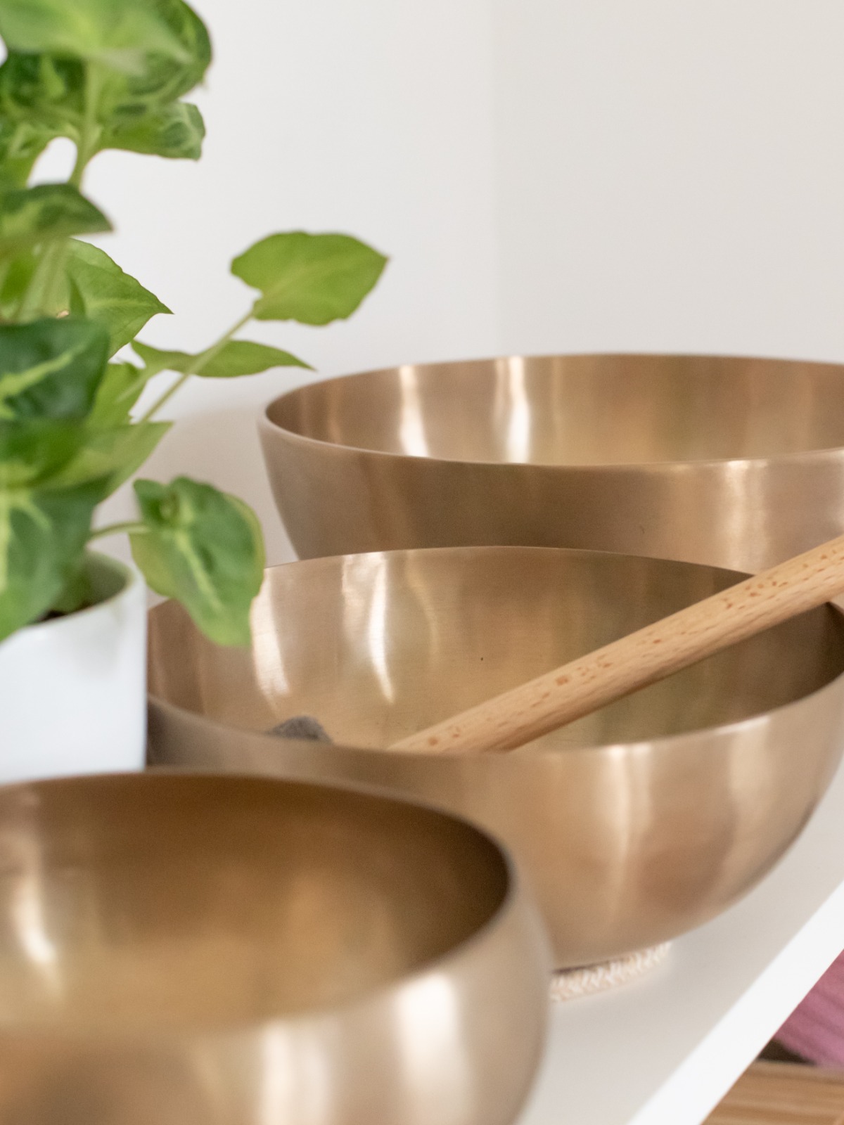 Zen Place Studio Pula