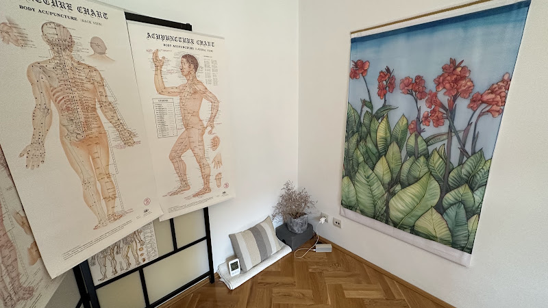 ZenDu shiatsu massage therapy — photo 3