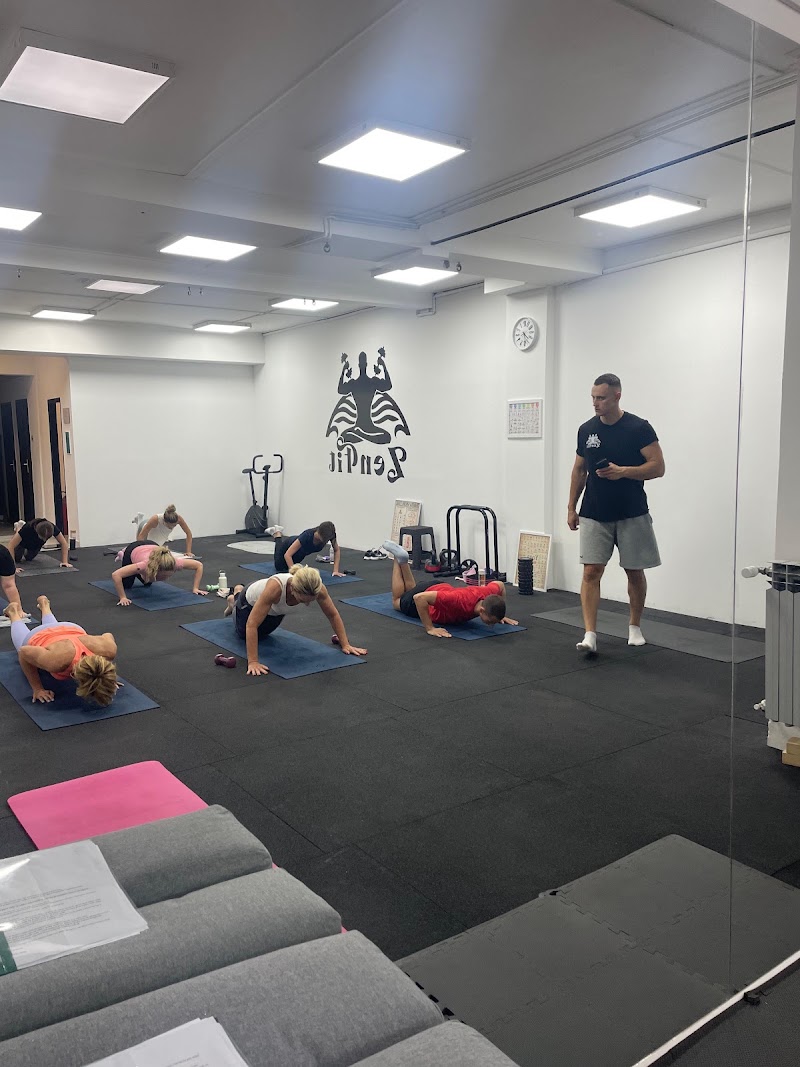 ZenFit / Fitness & Yoga — photo 3