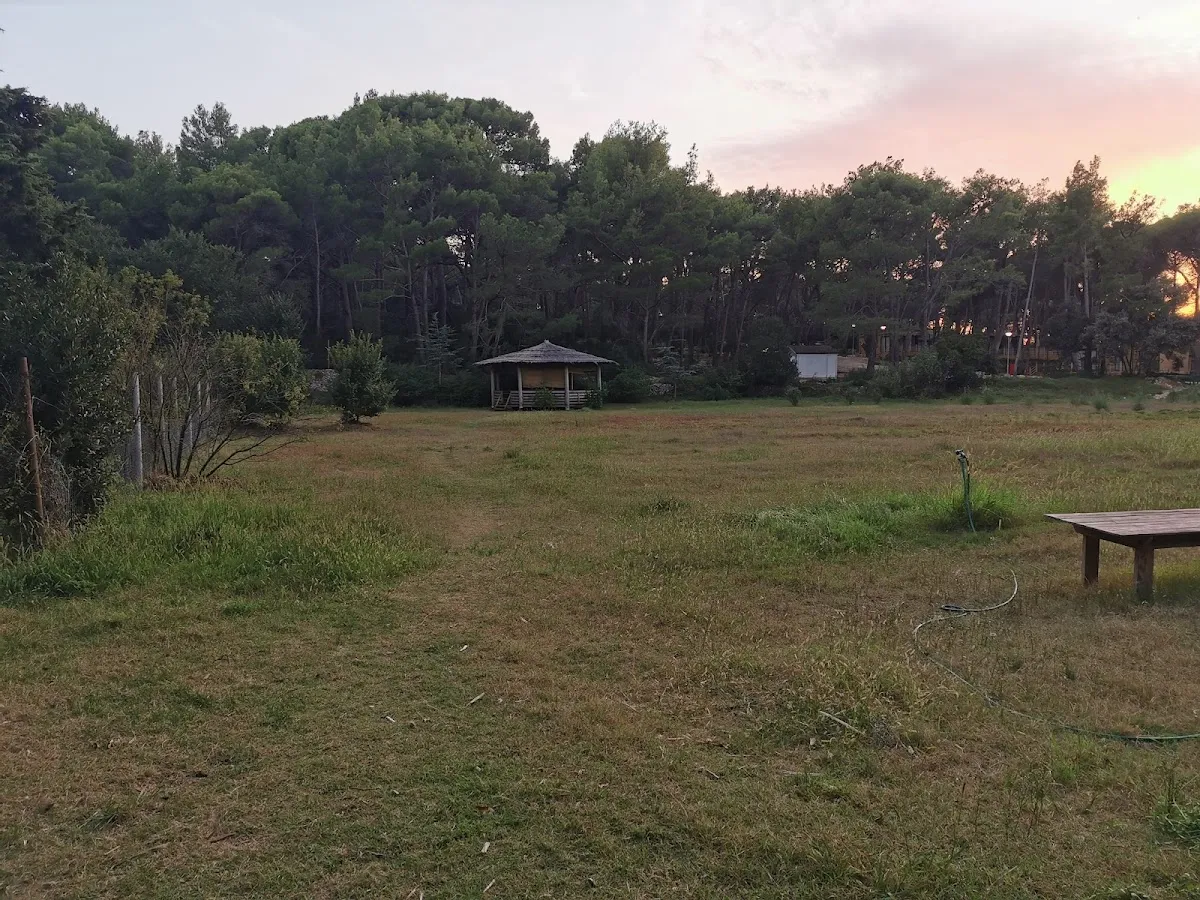 ZenGarden
